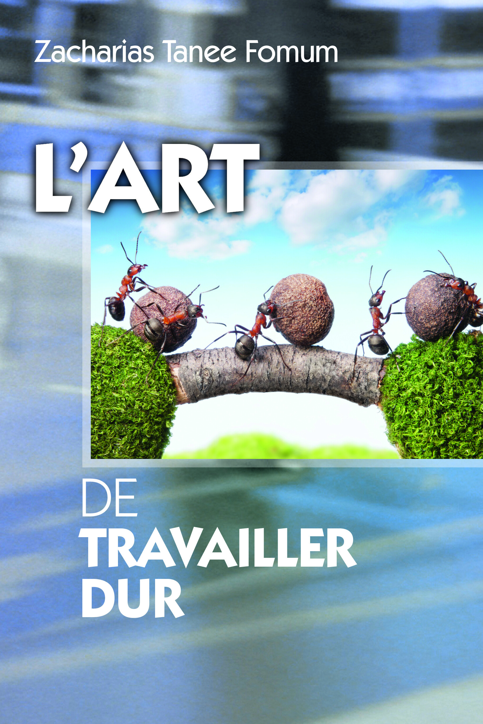 Couverture — L'art de travailler dur